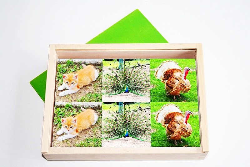 Tiermemory aus Holz, natur-realistisch