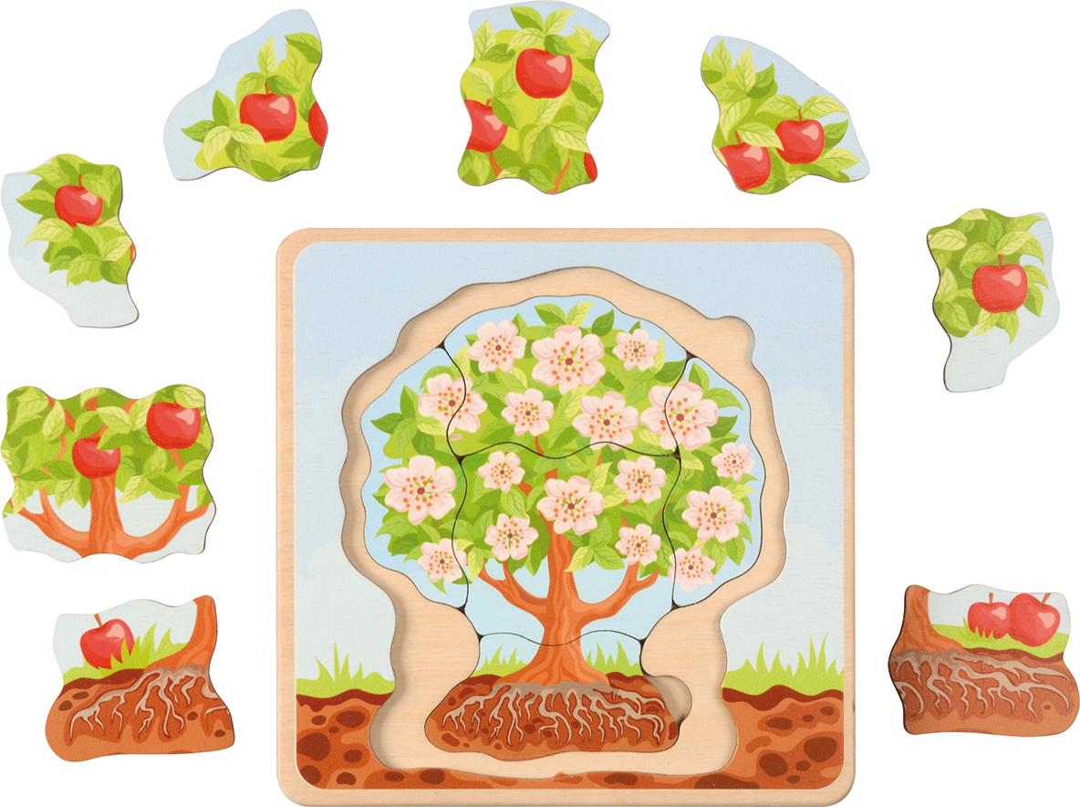 Puzzle Wachstumszyklus Apfelbaum