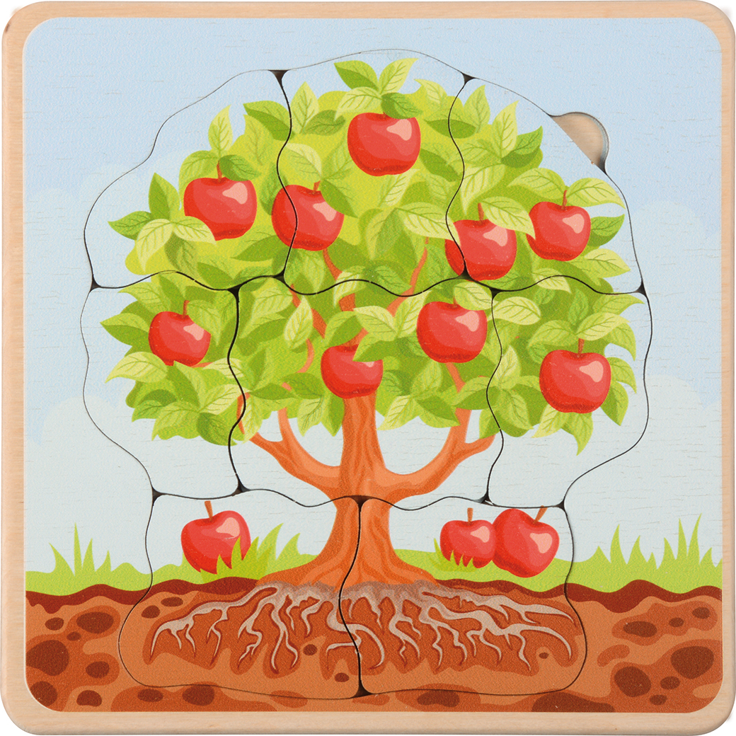 Puzzle Wachstumszyklus Apfelbaum