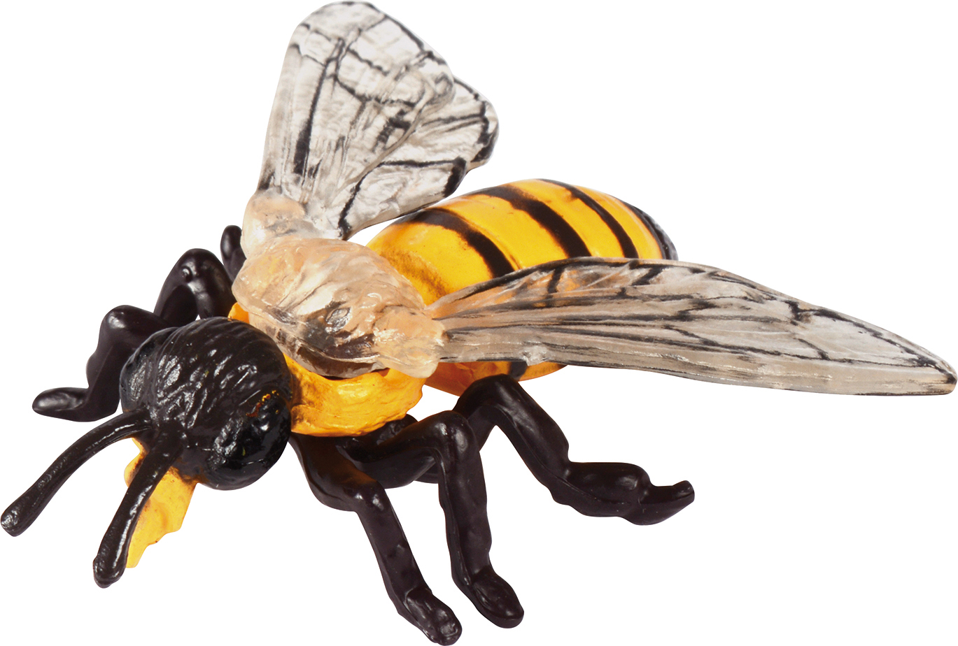 Insekten Entwicklungsstadium-Set (Schmetterling, Biene & Marienkäfer)