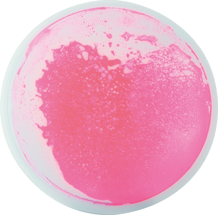 Wasserspielmatte - Faszinationsmatten Rund pink