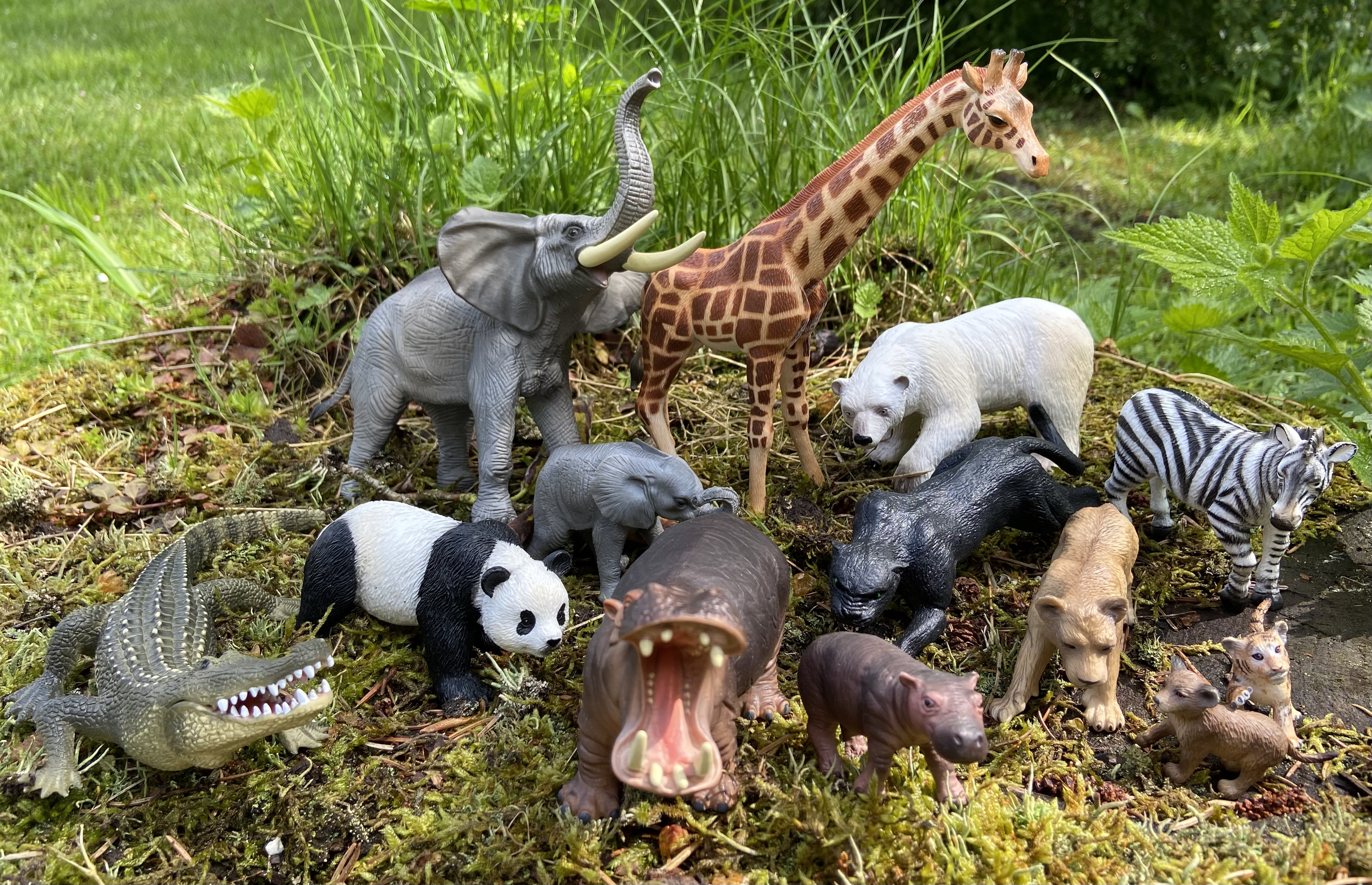 Wildtiere 13-teilig
